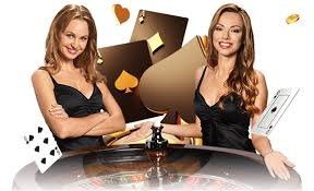 game7766 Slots Live Casino Sportsbook ဂိမ်းကစားနေသူ ပုံ